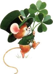Irish mouse